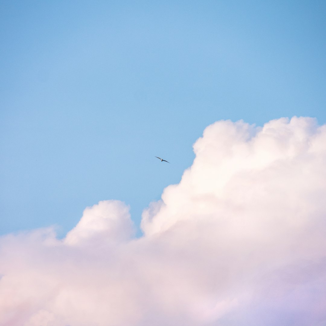 Immagine simbolica: nuvole illuminate dal sole, non carte estratte realmente. Foto di Julius Carmine su Unsplash.
