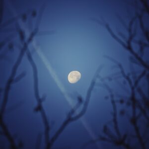 Fotografia illustrativa di Luna piena fra rami di alberi, non documentazione di un rito; foto di Rafael su Unsplash.