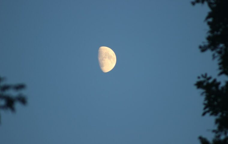 Luna visibile nel cielo serale fra gli alberi. Fotografia illustrativa, non ripresa del cielo di Trani nei giorni dell'Almanacco.
