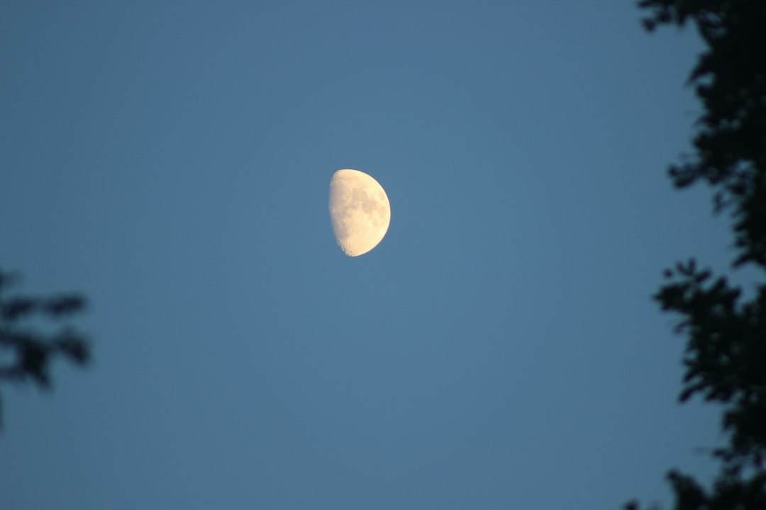 Luna visibile nel cielo serale fra gli alberi. Fotografia illustrativa, non ripresa del cielo di Trani nei giorni dell'Almanacco.