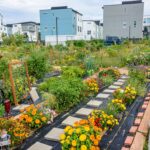 Parcelle verdi di un orto comunitario urbano; fotografia illustrativa non riferita alle citt&agrave; dello studio europeo