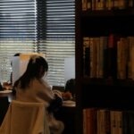 Sala di studio e lettura in una biblioteca, foto illustrativa di Yanhao Fang (Unsplash)