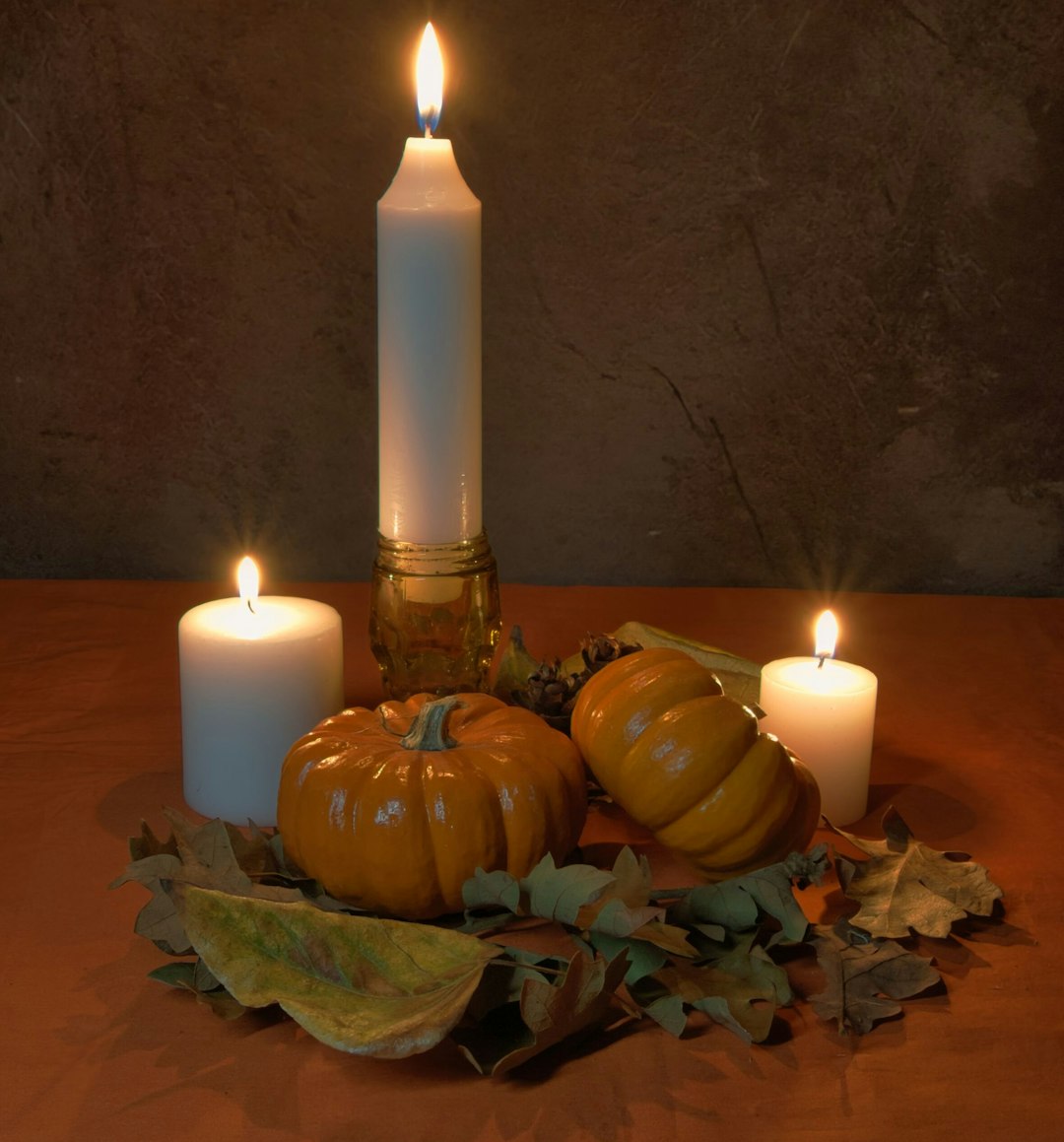 Paesaggio d'autunno, immagine simbolica per il rito di Samhain; non documenta alcuna pratica già eseguita. Foto di Townsend Walton su Unsplash.