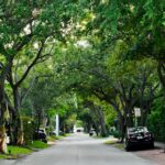 Veduta di un viale alberato; fotografia illustrativa di Faith Crabtree su Unsplash, non riferita a Trani n&eacute; a misurazioni acustiche.